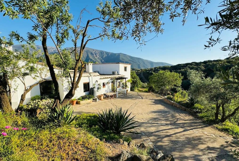Almond Hill House Villa Orgiva Buitenkant foto